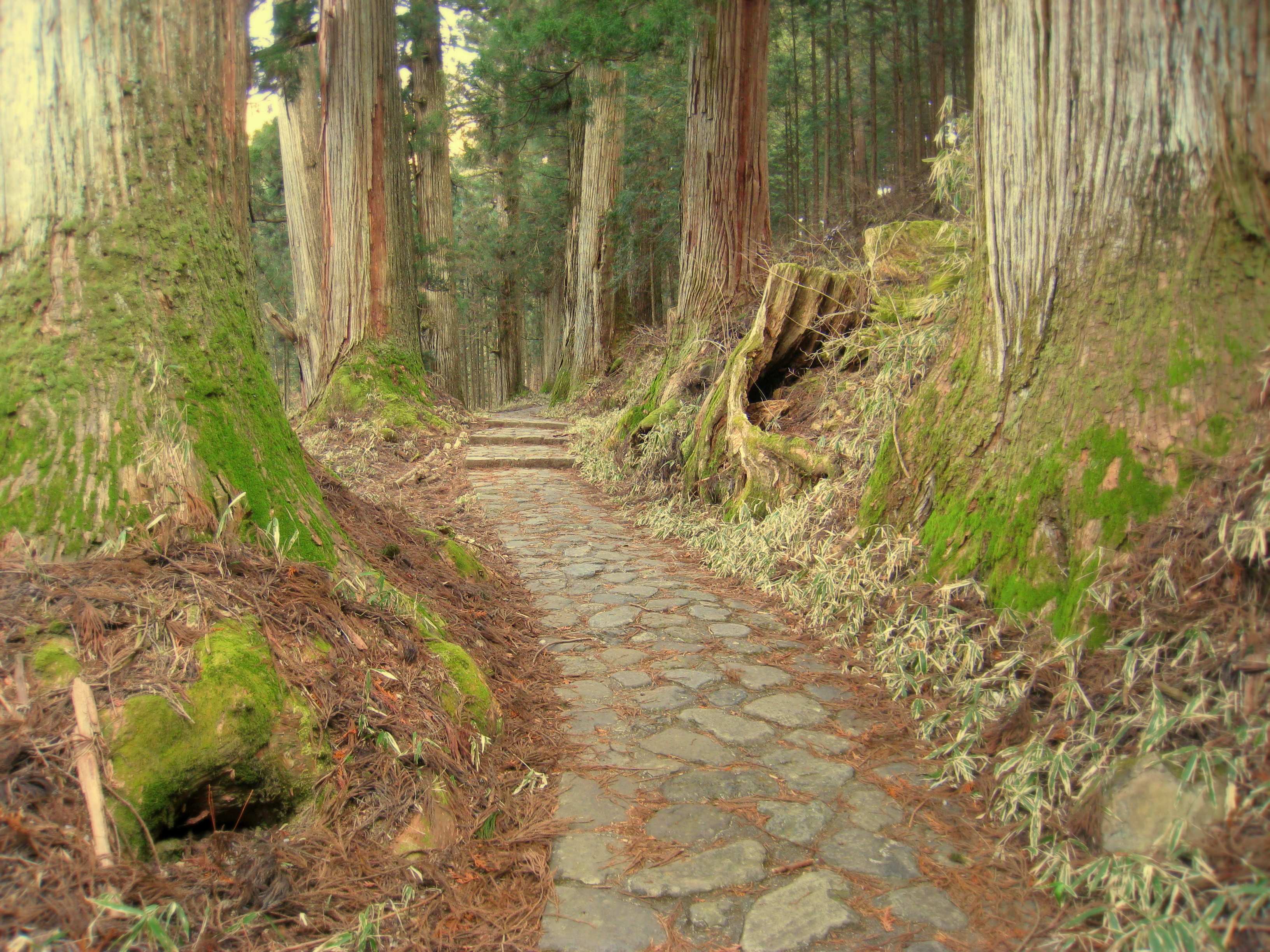 🏞️ 시라이토 폭포 (닛코) 이미지 7